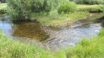 Channel at lower transect, from right bank to left