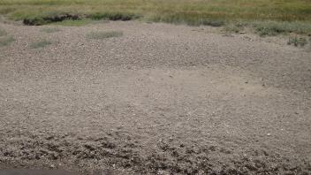 Channel at lower transect, left bank to right bank