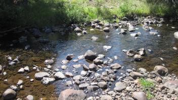Channel at lower transect, left bank to right bank