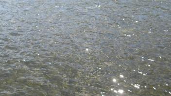 Channel at lower transect, left bank to right bank
