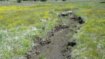 Channel at lower transect, looking downstream