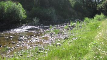 Channel at lower transect, looking upstream