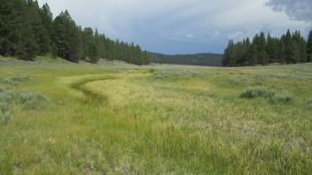 Channel at lower transect, looking upstream