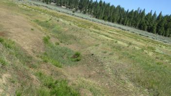 Channel at lower transect, looking upstream