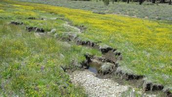 Channel at lower transect, looking upstream