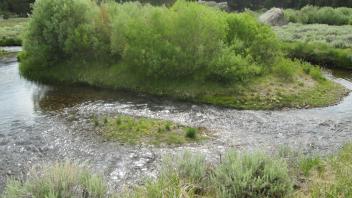 Channel at middle transect