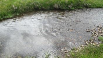 Channel at middle transect, from right bank looking left