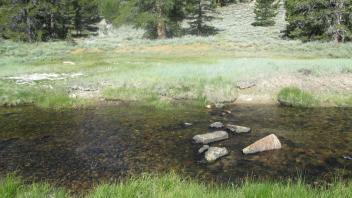 Channel at middle transect, from right bank looking left