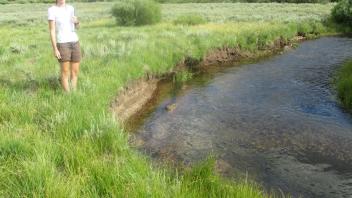 Channel at middle transect, from right bank looking left