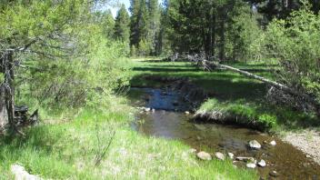 Channel at middle transect, from right bank looking left