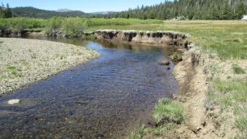 Channel at middle transect, looking downstream showing incised right bank