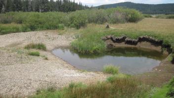 Channel at middle transect, looking downstream