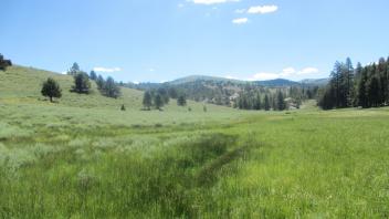Channel at middle transect, looking downstream