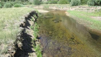 Channel at middle transect, looking downstream