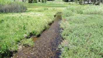 Channel at middle transect, looking downstream