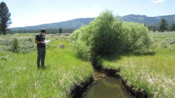 Channel at middle transect, looking upstream, inset floodplain
