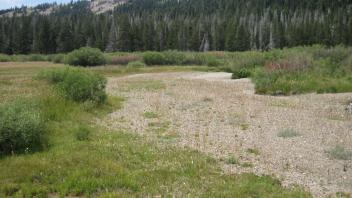 Channel at middle transect, looking upstream