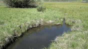 Channel at middle transect, looking upstream