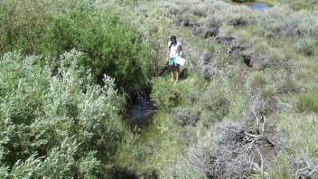 Channel at second upper transect, looking downstream