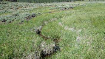 Channel at upper transect looking upstream - incision & inset floodplain