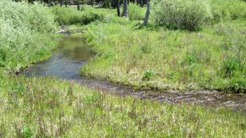 Channel at upper transect, from left bank to right bank
