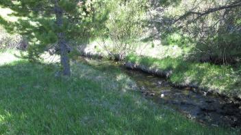 Channel at upper transect, from right bank to left