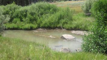 Channel at upper transect, looking downstream