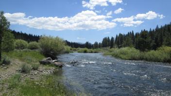 Channel at upper transect, looking downstream, Little Truckee River