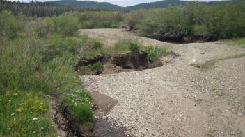 Channel at upper transect, looking downstream