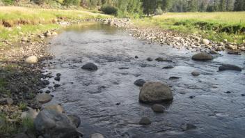 Channel at upper transect, looking downstream