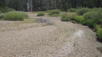 Channel at upper transect, looking upstream