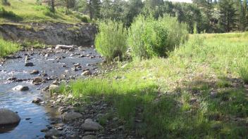 Channel at upper transect, looking upstream