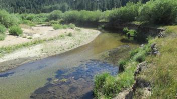 Channel at upper transect, looking upstream