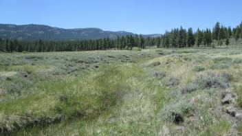 Channel at upper transect, looking upstream