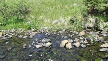 Channel at upper transect, right bank looking towards left bank
