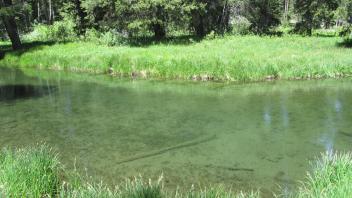 Channel at upper transect, right bank looking towards left bank