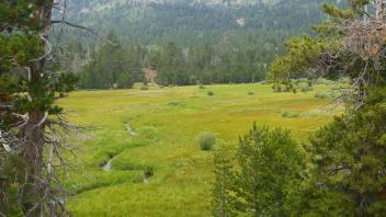 Channel in western portion meadow