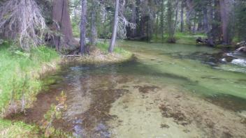 Channel upstream