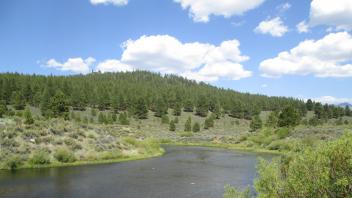 Channel, from left bank looking downstream