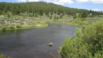 Channel, from left bank looking downstream