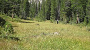 Middle Transect Right to Left Overview