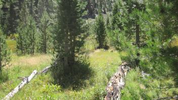 Upper Transect Left to Right Overview