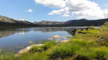 Van Norden Meadow Assessment