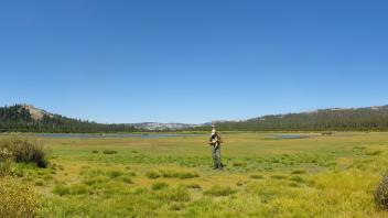 Van Norden Meadow