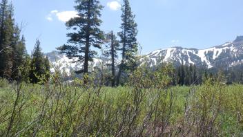 Kirkwood