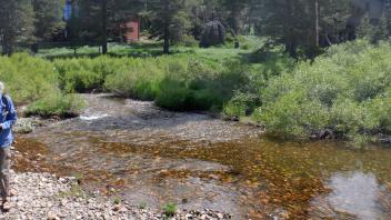Kirkwood