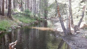 Plum Creek