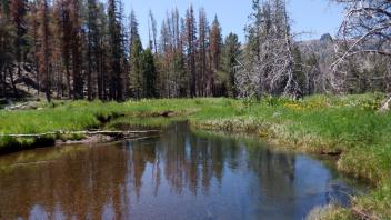 Kirkwood Meadow