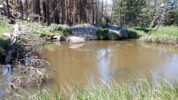 Kirkwood Meadow