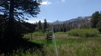 Kirkwood Meadow